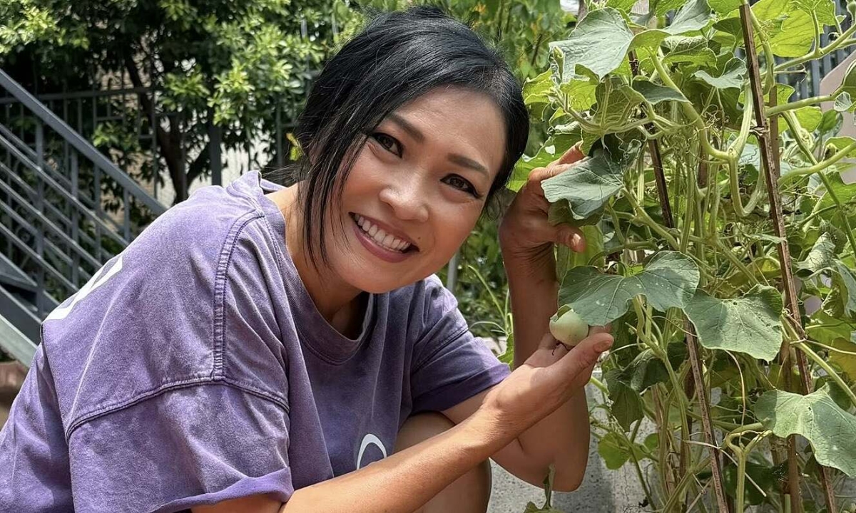 Thưởng đăng ký NEW88 và cảm hứng sống xanh từ vườn rau sân thượng của Phương Thanh - hình ảnh - new88-app.vip