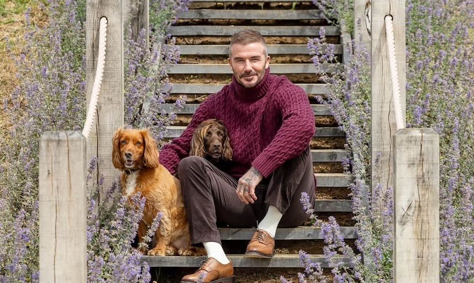 Phong Cách Mặc Giàu Ngầm Của David Beckham Và Cơ Hội Thưởng Đăng Ký NEW88 - hình ảnh - new88-app.vip